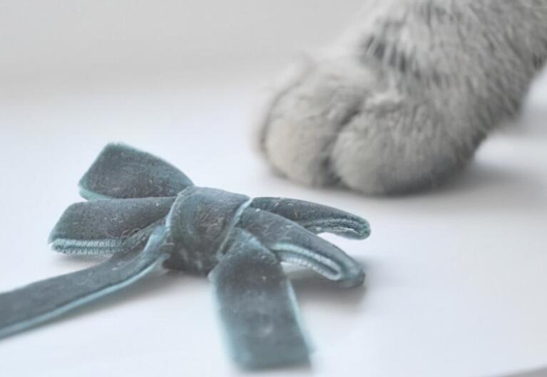 女人从头开始的句子文案