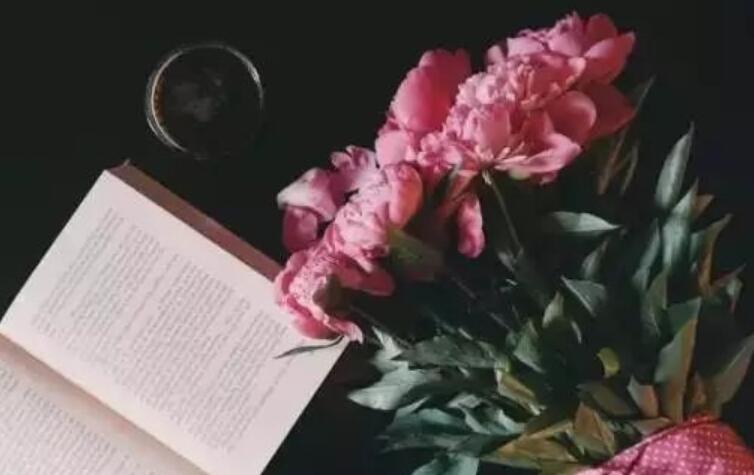 天主教的经典语录文案