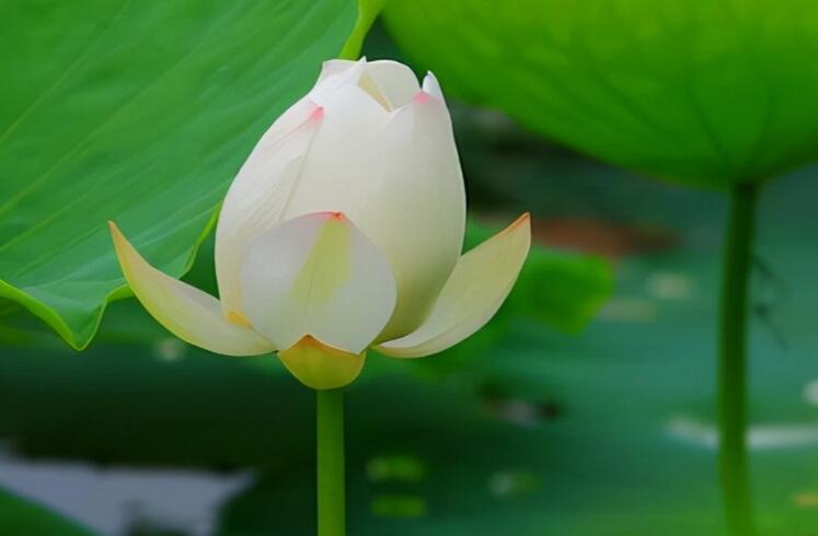 今年身体特别差的说说文案