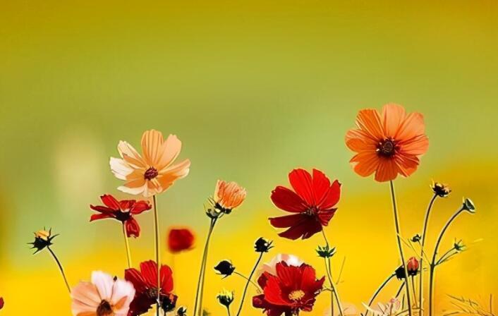 表示心情的短语