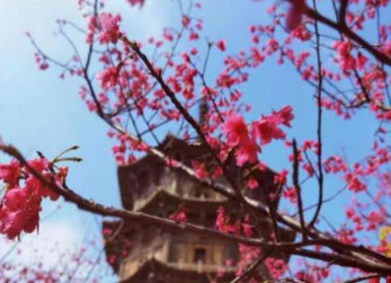 结束愉快旅游的句子文案