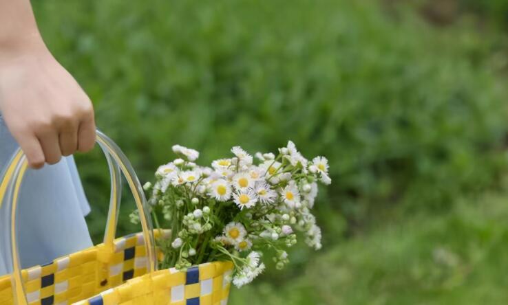 闭嘴少说话的经典语句文案