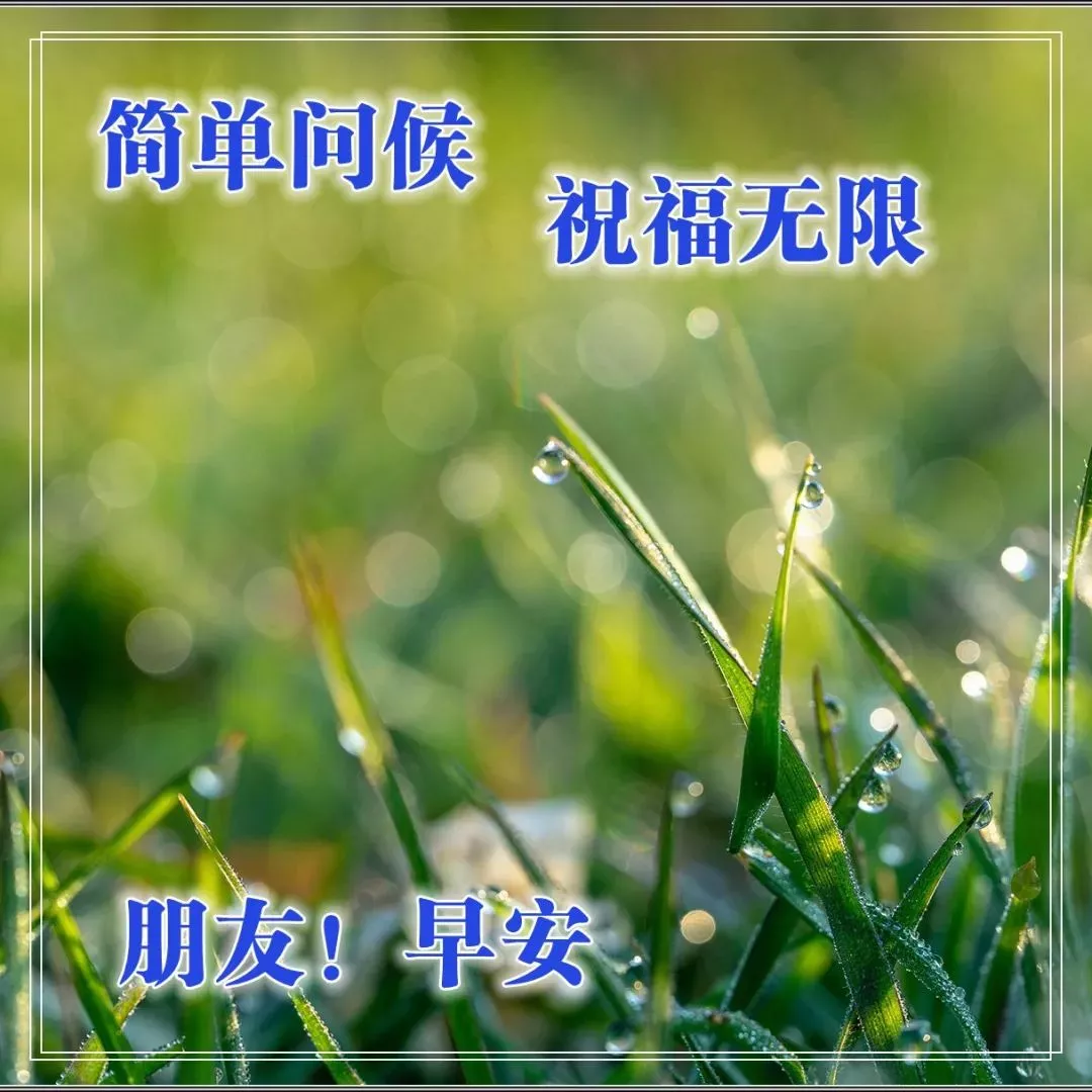 早上最亲切的问候语和图片