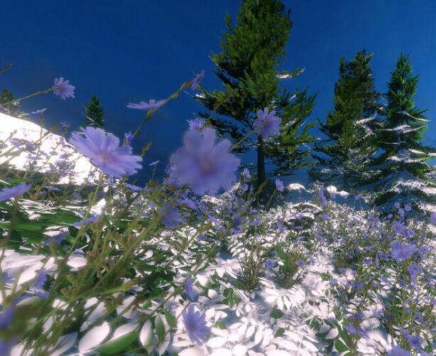 关于风景的句子文案