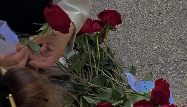 温柔的文案句子长