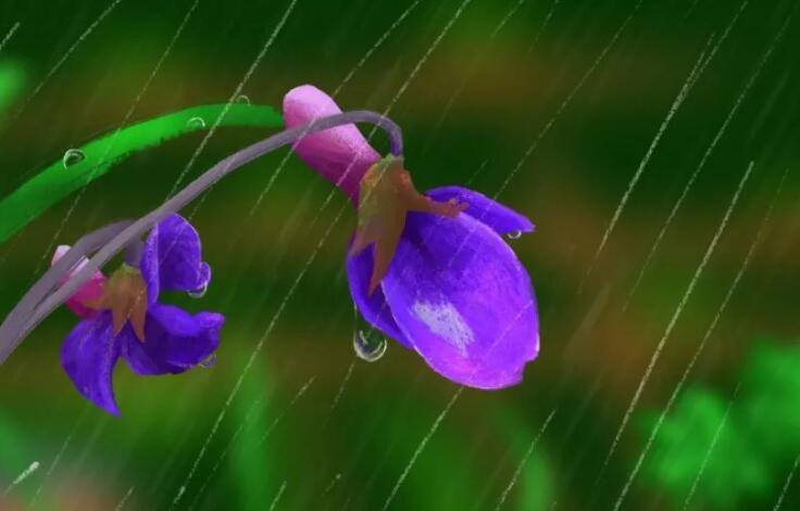 对春天雨后美景的赞美诗句文案