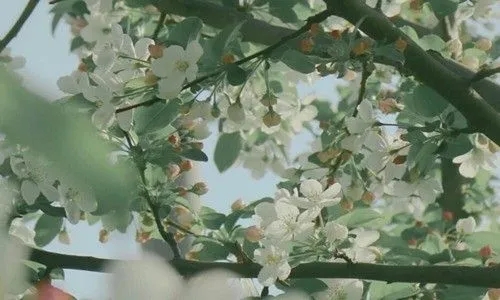 女生高情商签名短句