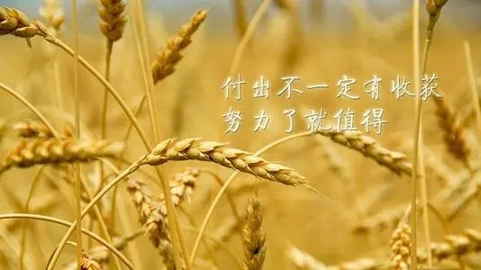 心灵鸡汤幽默短句