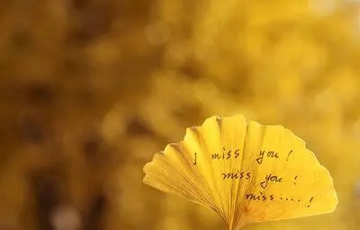 对旧的东西怀念的句子文案