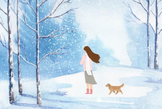 形容大雪纷飞的诗句文案