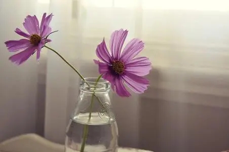 人生感悟哲理金典句子文案