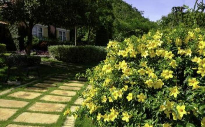 善变人心最现实的话