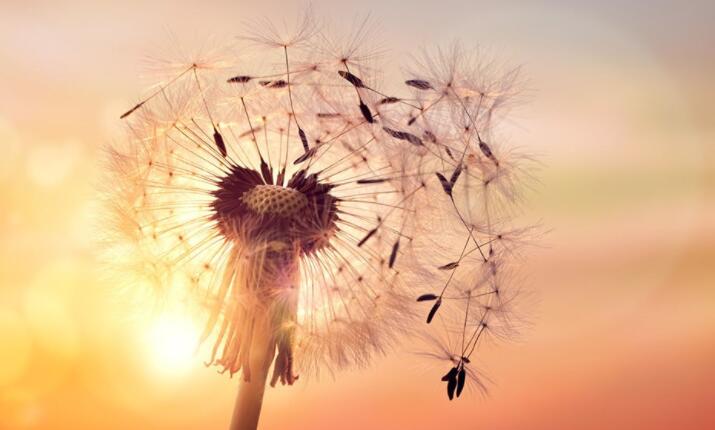 古风文案情侣个性签名