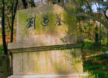 多出去长见识的诗句文案