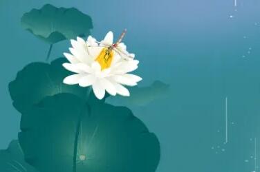 春末夏至的说说文案