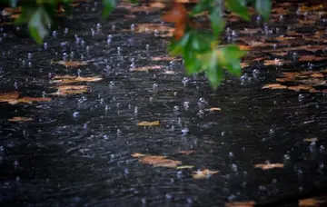 凄风冷雨的调侃的句子文案