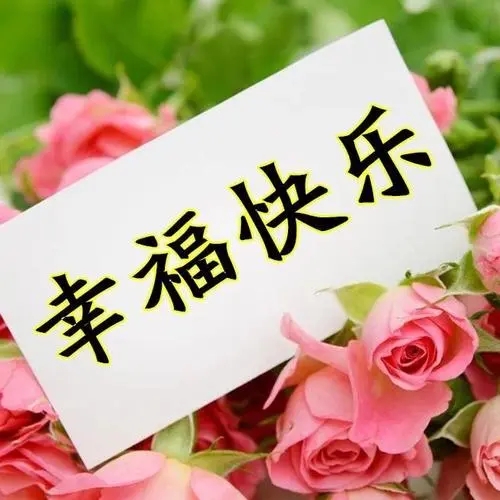 祝福每天开心快乐的句子文案