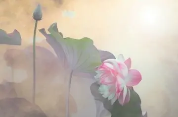 佛家打开心结的话