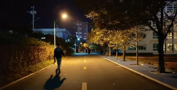夜晚路灯下的心情短句