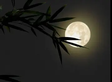 突然有点想家经典语录文案