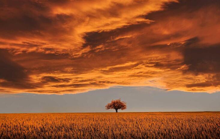 感叹人生现实的句子文案