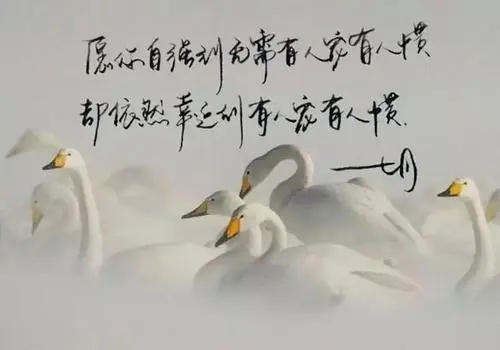 天塌下来绝望的句子文案