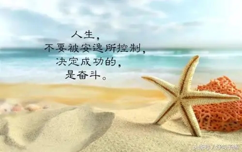 人生美好的句子文案经典