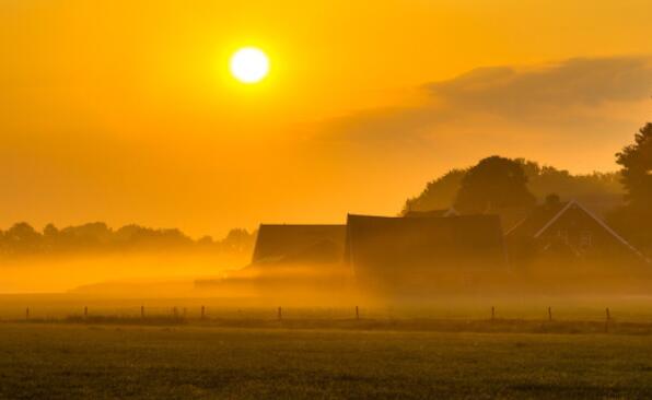 朝花夕拾优美句子文案摘抄