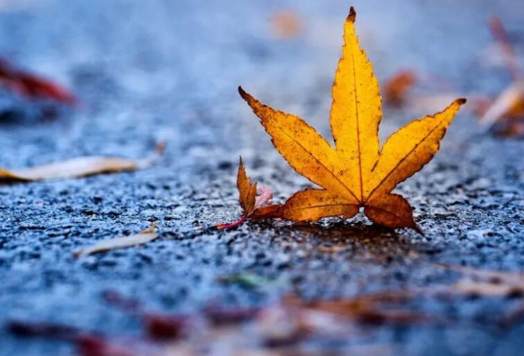 10月的诗句文案