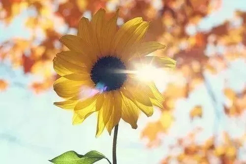 体现青春励志的古诗