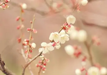 抱怨生活的句子文案