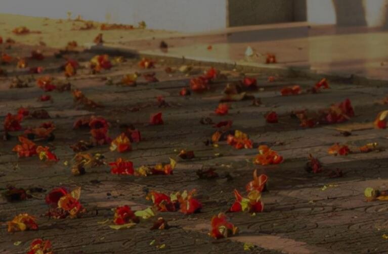 放弃暗恋的人的句子文案