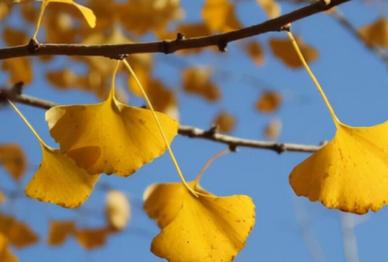 形容时间飞快的句子文案优美