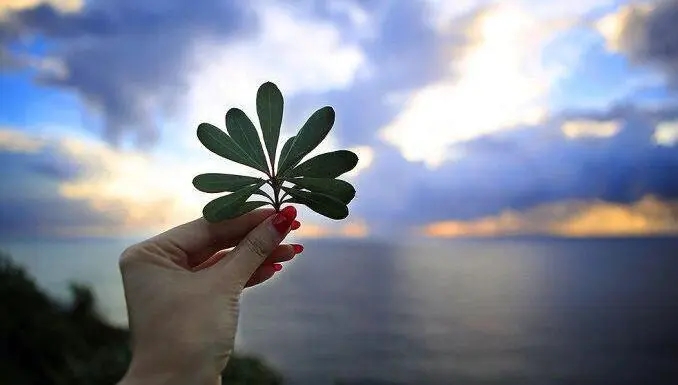 让自己静心的句子文案