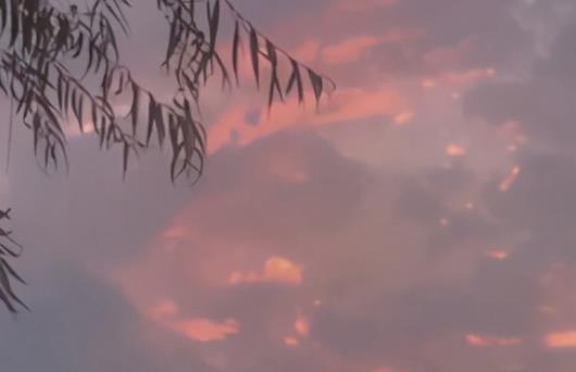 抒情的优美句子文案