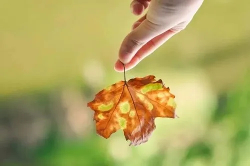 感叹句的句子文案大全