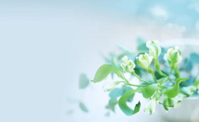 睡前暖心的晚安心语