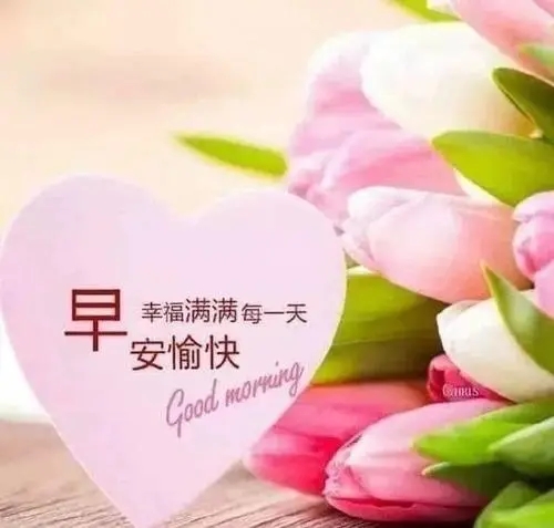 每日问候早安心语