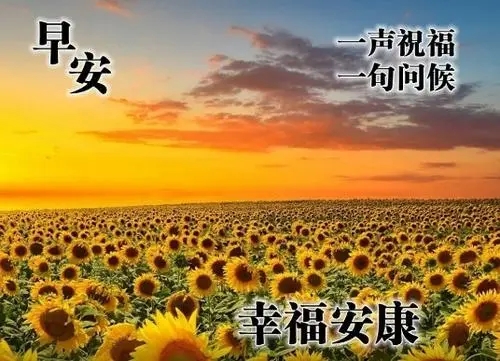 2024年最火的早安句子文案五月