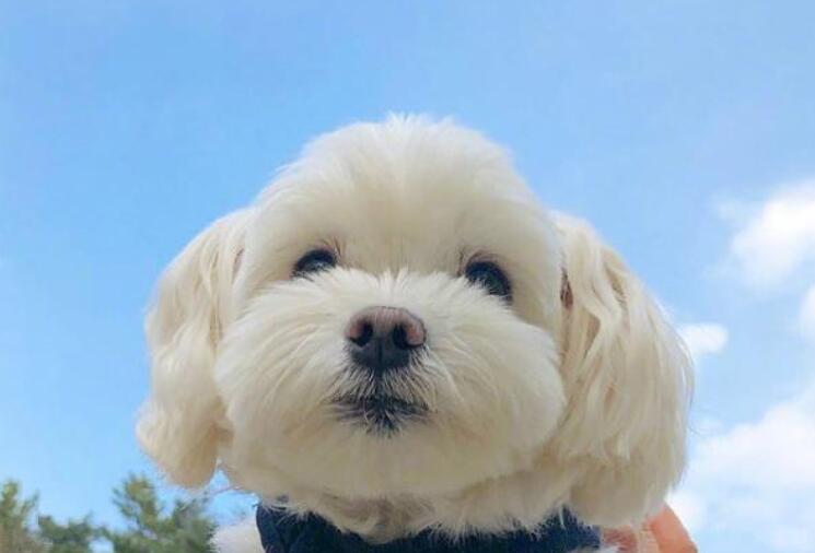 累了晚安发朋友圈说说文案