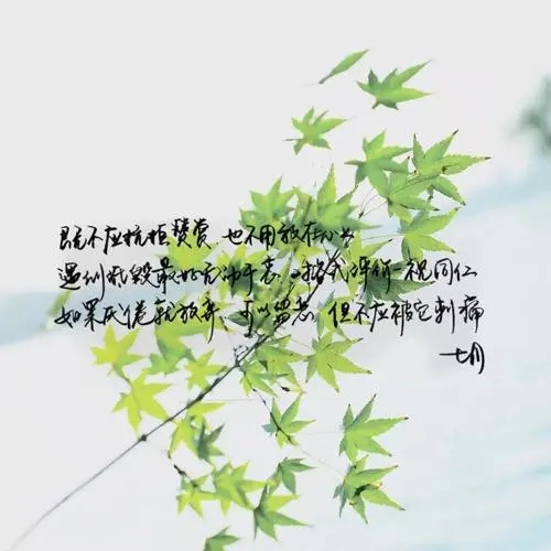 暖心的句子文案唯美