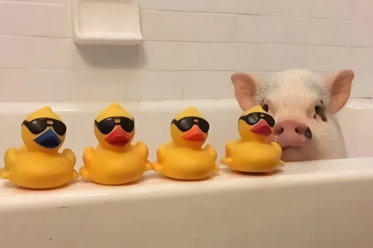 可爱的句子文案简短萌录语图片