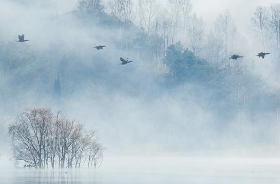 唐诗三百首读书笔记摘抄