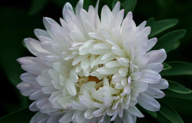 怀念逝去妈妈的朋友圈