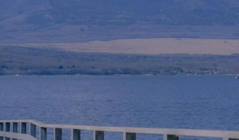 环境美好的句子文案