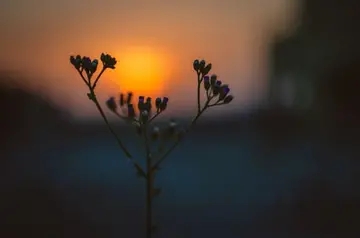 简短16字的优美句子文案