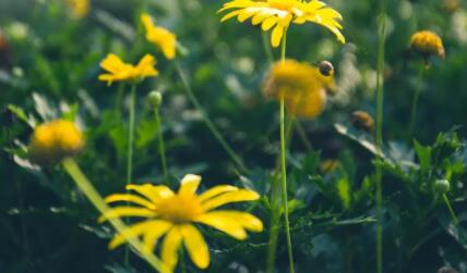 早安暖心话短句