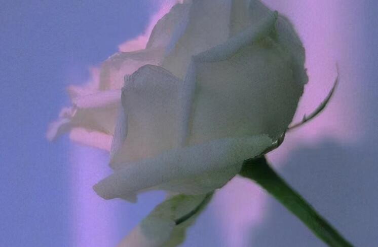 爱情句子文案表达伤心