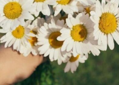 表达玩的开心的一句话