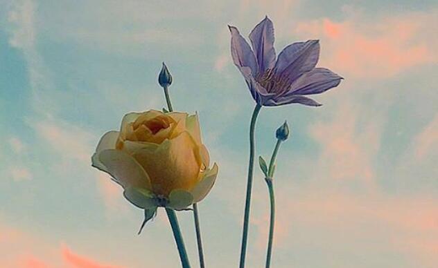 雨下得真大开头写一段话